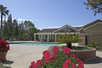 2 Pools